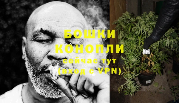 PSILOCYBIN Губаха